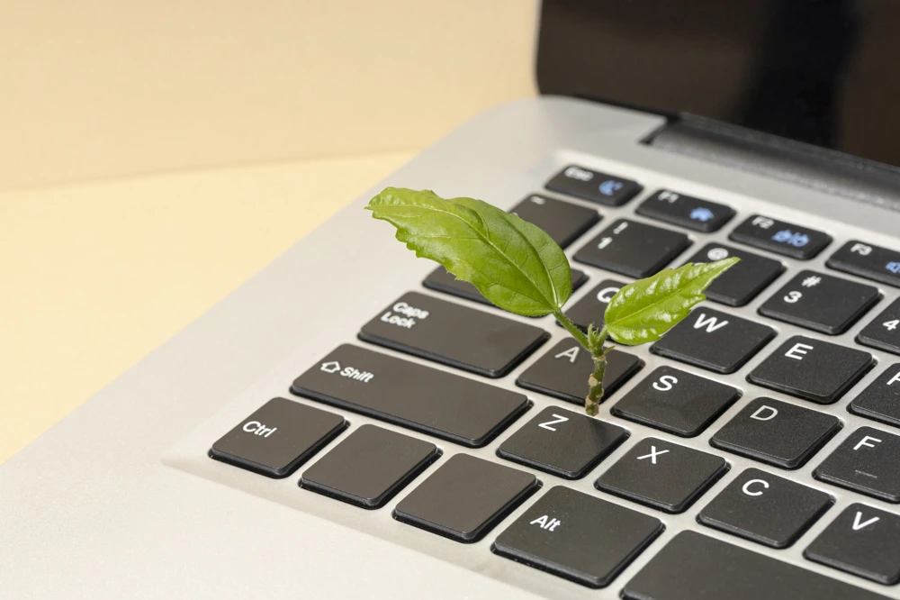 La sostenibilità nel B2B: opportunità o obbligo?