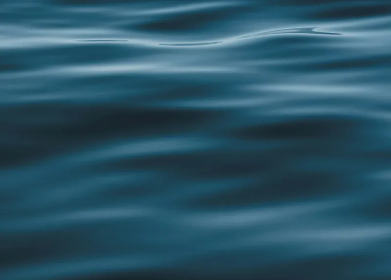 Un’esperienza digitale che rispecchia il lusso del servizio offerto