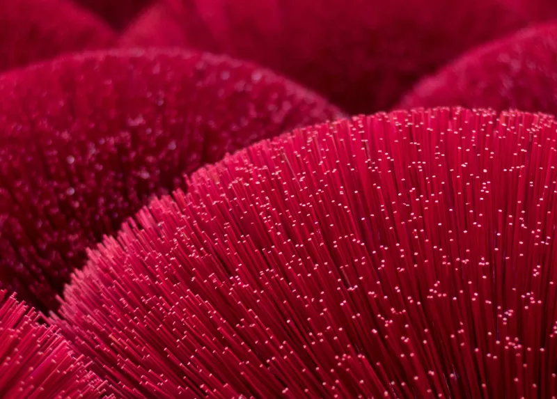 FourB: un nuovo sito per il partner di Vodafone