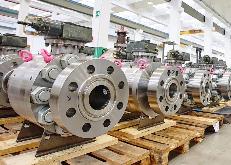 Il progetto in breve