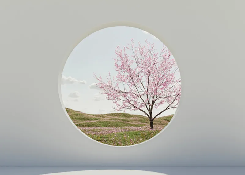 Il progetto in breve